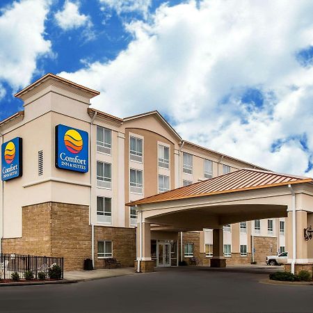 טיפטון Comfort Inn & Suites מראה חיצוני תמונה