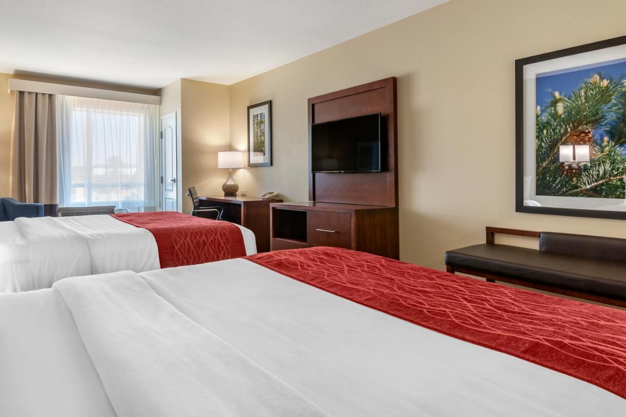 טיפטון Comfort Inn & Suites חדר תמונה