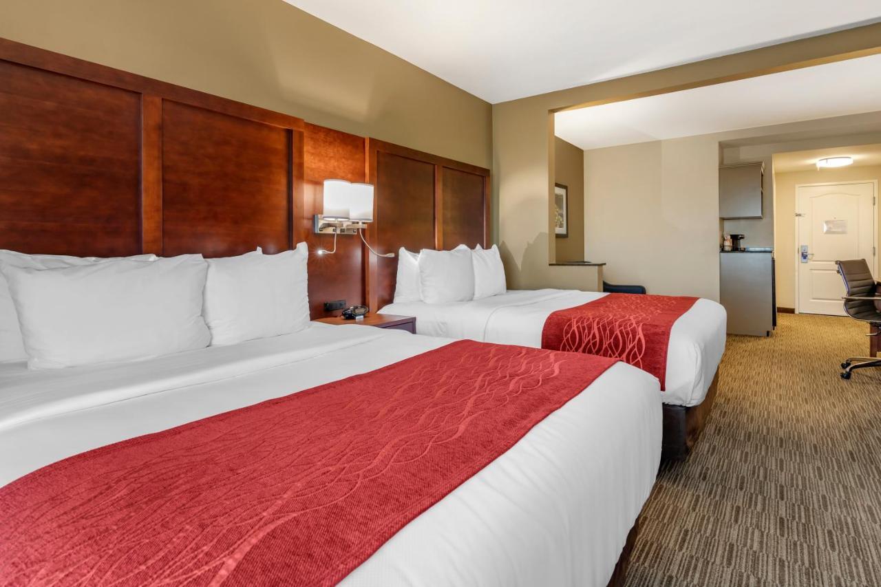 טיפטון Comfort Inn & Suites מראה חיצוני תמונה